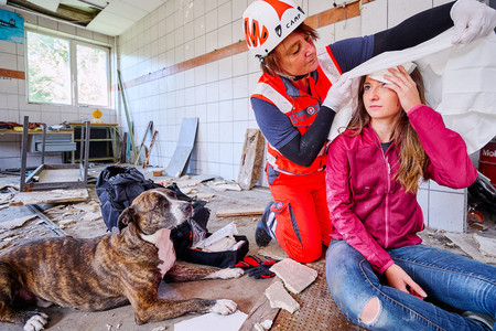 Eine Sanitäterin versorgt die Kopfwunde der Verletzten. Der Rettungshund liegt daneben.