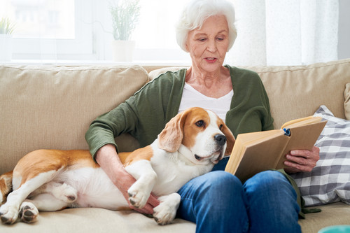 Eine Seniorin liest in einem Buch, während ihr Hund auf ihrem Schoß liegt.