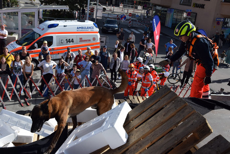 Ein Rettungshund und ein Johanniter stehen auf einem Trümmerhaufen.