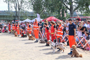 Die Rettungshundeführer:innen stehen mit ihren Hunden nebeneinander aufgestellt bei der Vorführung. Herum steht ein großes Publikum.