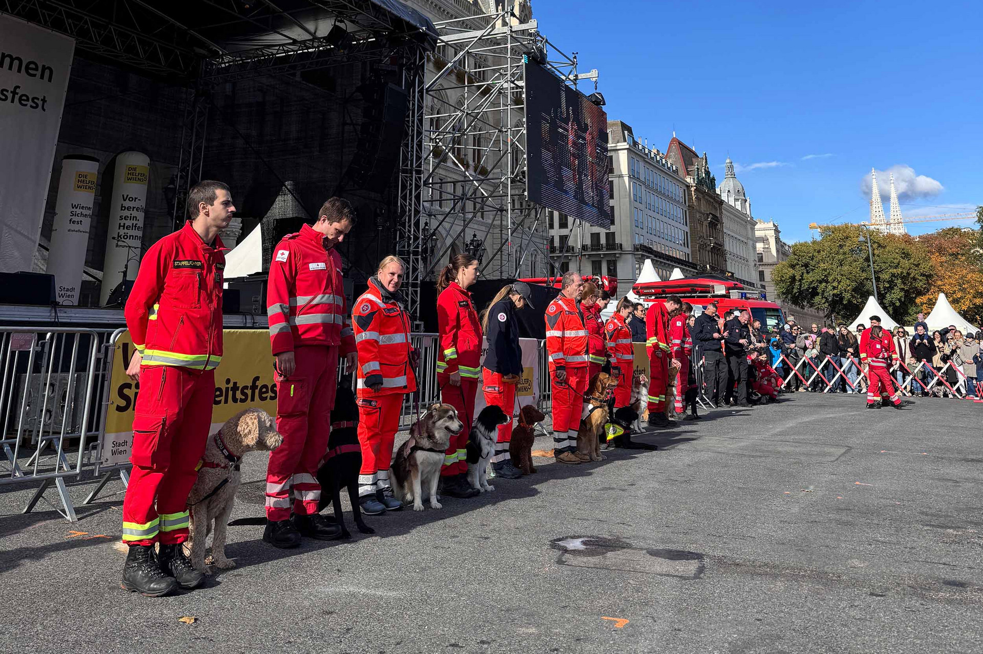 Die Vorführung der Rettungshundestaffel vor dem Wiener Rathaus