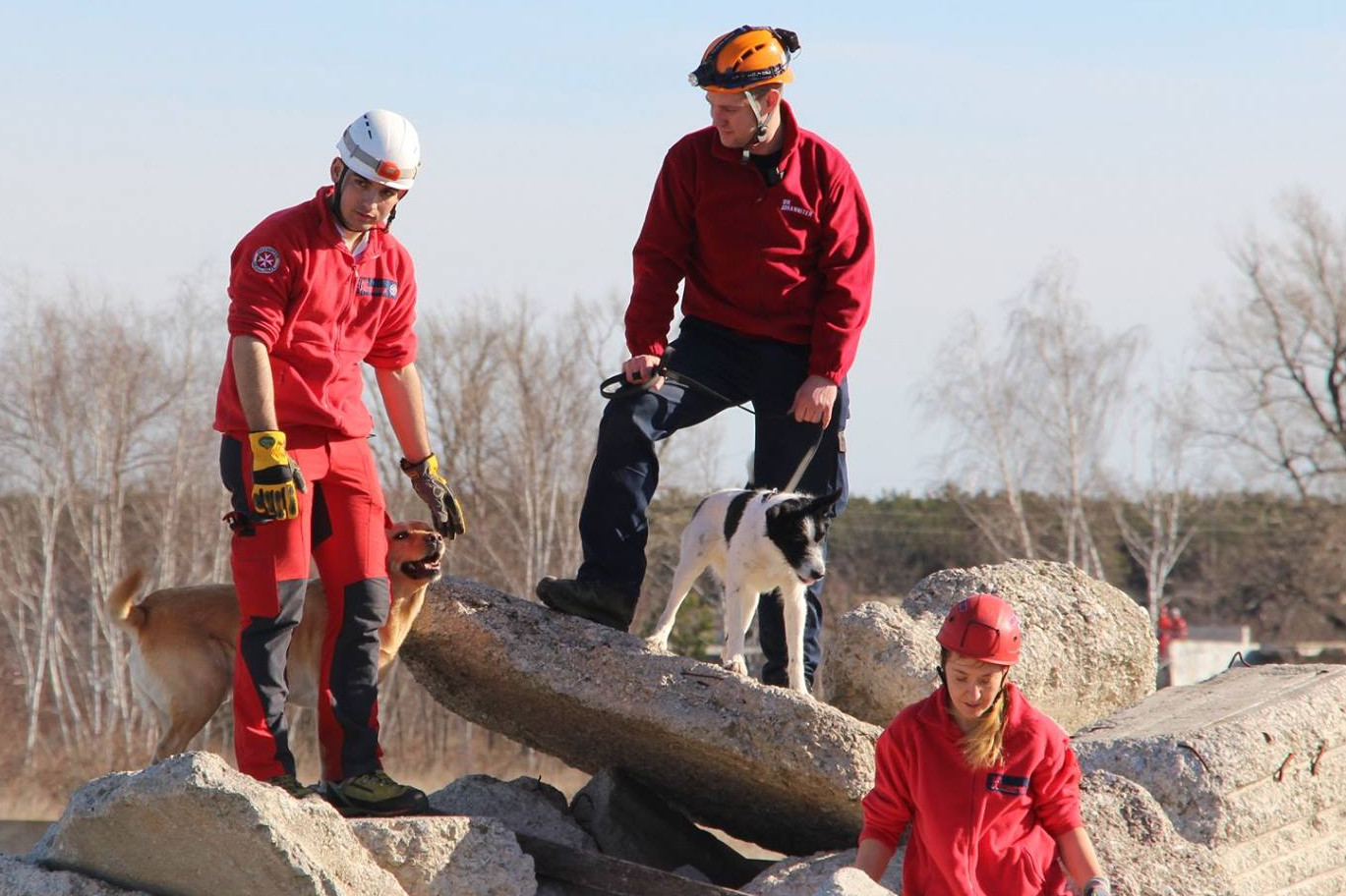Drei Johanniter und zwei Rettungshunde stehen auf Steintrümmern, auf der nach Vermissten.