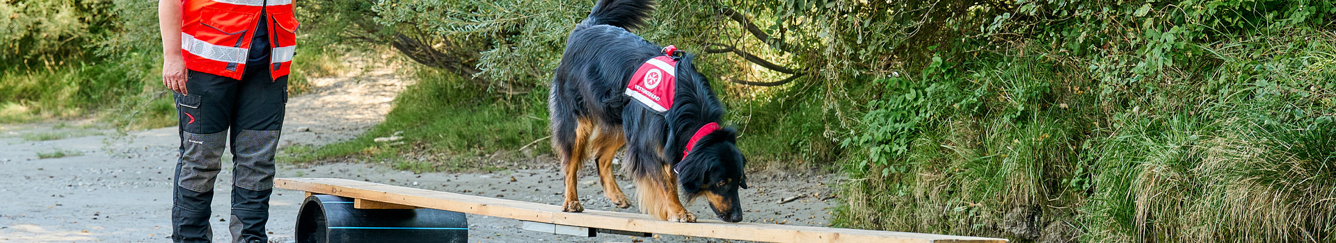 Eine Johanniterin geht neben ihrem Rettungshund, der ein Übungshindernis überquert.