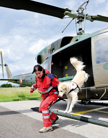 Eine Johanniterin und ihr Rettungshund springen aus dem gelandeten Hubschrauber.