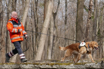 Ein Johanniter und sein Rettungshund bei einer Übung zum Mantrailing.