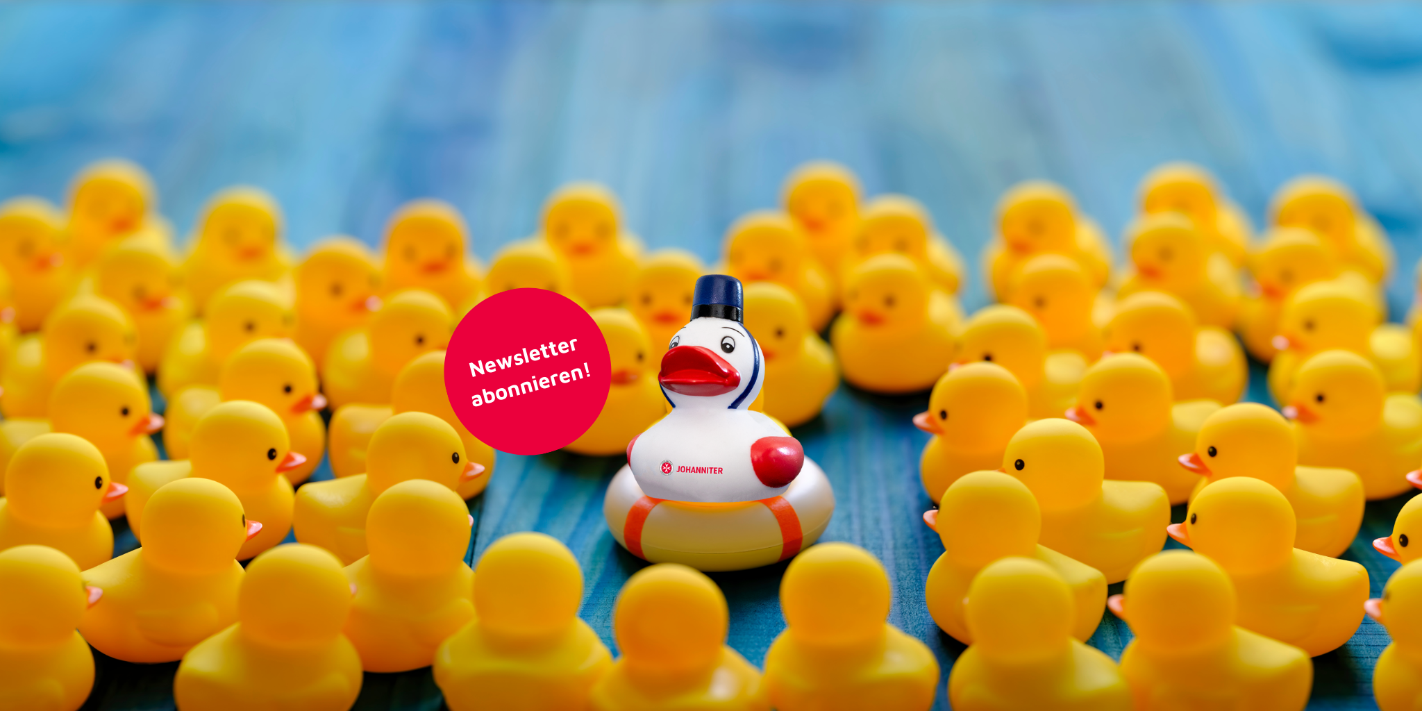 Jetzt Newsletter abonnieren