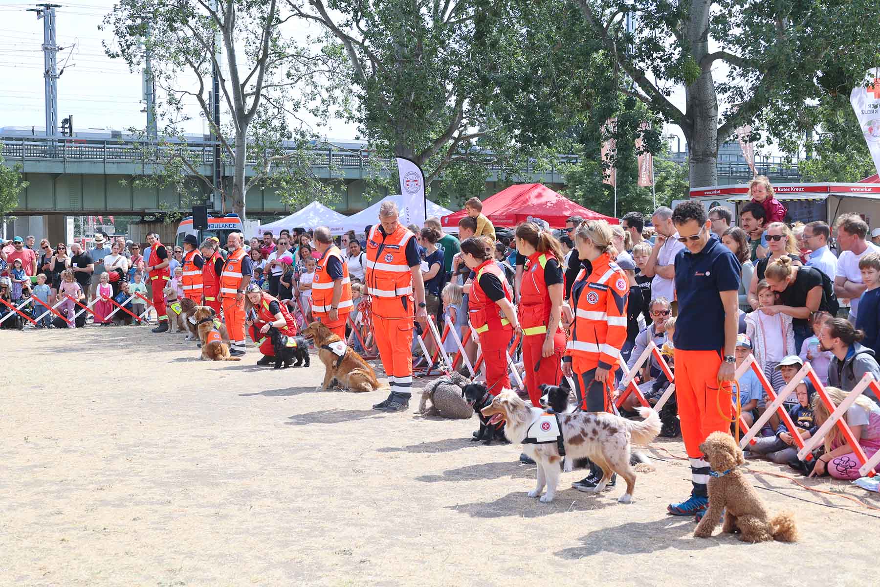 Die Rettungshundeführer:innen stehen mit ihren Hunden nebeneinander aufgestellt bei der Vorführung. Herum steht ein großes Publikum.